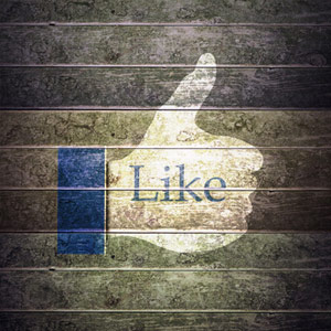 Besuchen Sie uns bei Facebook (externer Link)